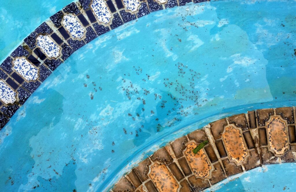 legionella come prevenire