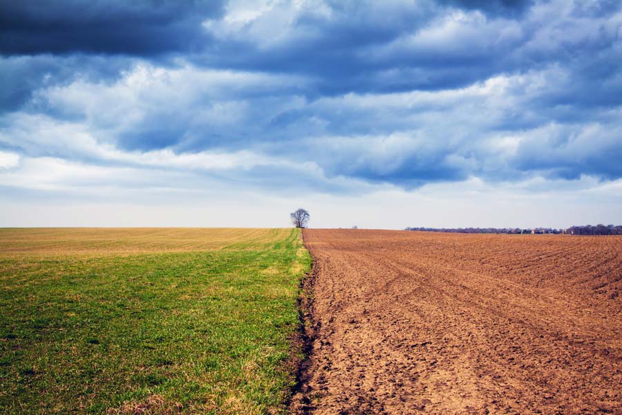 cambiamento climatico